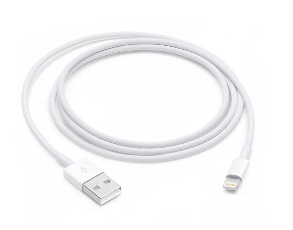1M lightning to USB cable (1)