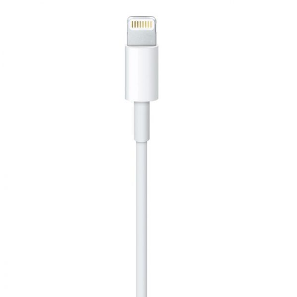 Lightning to USB Cable (2 m) (4)