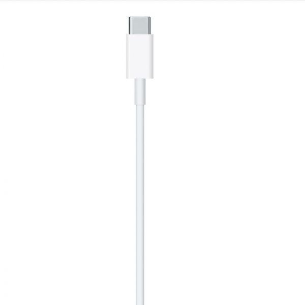 USB-C to lightning cable(1m) (1)