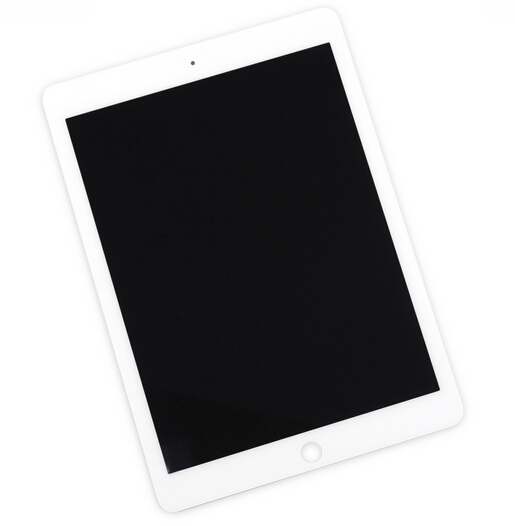 iPad Air 2 Display Assembly(2)