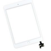 iPad mini 3 Front Panel Digitizer(2)