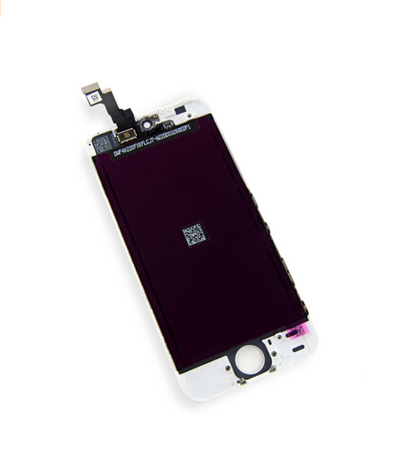 iPhone 5s Display Assembly(3)